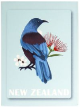 Playing Cards NZ Kiwiana 6asst